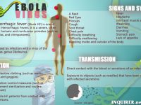 prevent-Ebola-virus-2-1024×576