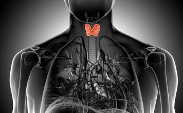 Test For Hypothyroidism, The Various Tests That Can Diagnose