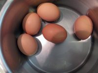 Boiled-Egg-5757084336_639200a46a