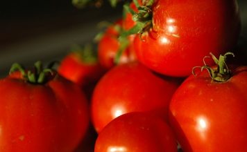 Top 10 Healthy Food For Toddlers Must Eat