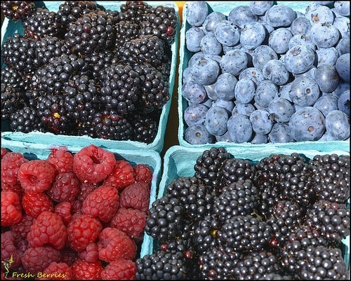 Berries photo