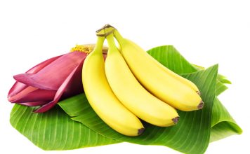 Thoughts On Convenient Solutions Of How Many Calories In A Banana