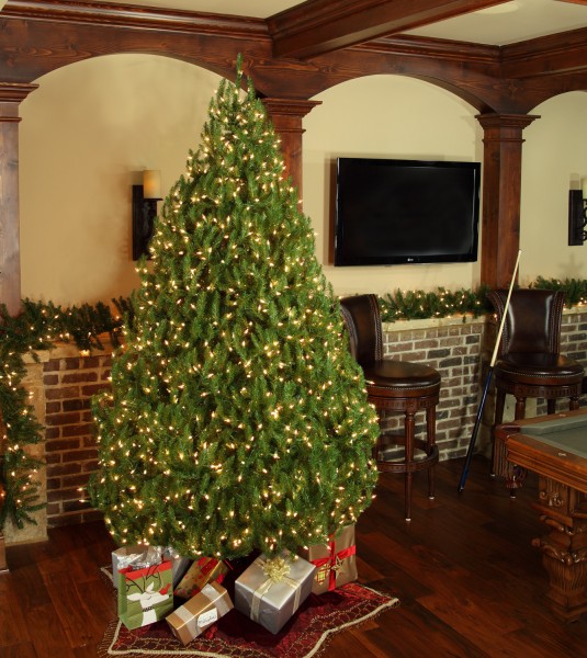 norway spruce christmas tree