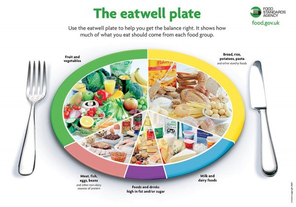 Using the eatwell plate