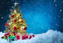 Different Types Of Christmas Trees In Your Home types of christmas trees