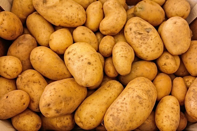 Potatoes photo