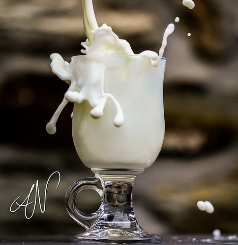 milk photo