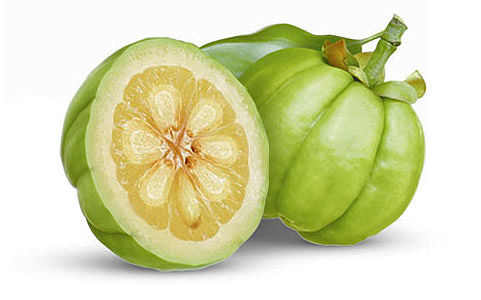 Garcinia Cambogia for Weight Loss
