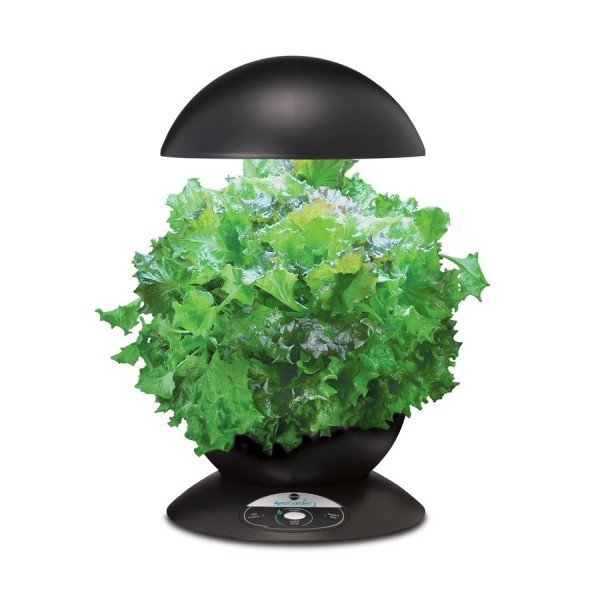 aerogarden gourmet herb seed kit