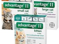 bayer advantage ii for cats