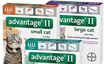 Bayer Advantage II For Cats Review (Flea Control Treatment) bayer advantage ii for cats