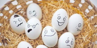 Necessary Criteria Of How Many Calories In An Egg Clarified how many of calories in an egg