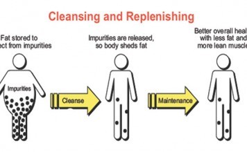 Important Tips on How to Cleanse Your Body how to cleanse your body