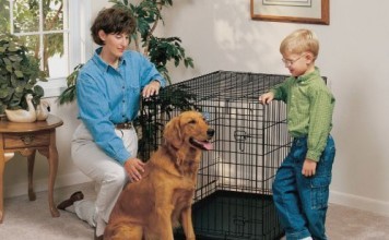 Review Midwest LIFE STAGES Front Door Crates (Pet Lover) midwest life stages front door crates