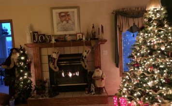 National Tree Christmas Trees Review (7 1/2′ Carolina Pine Tree) national tree christmas trees