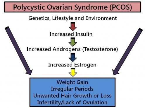 polycystic ovarian syndrome diet