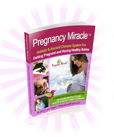 The Pregnancy Miracle Review