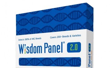 Review Wisdom Panel 2.0 Breed Identification DNA Test Kit wisdom panel 2.0
