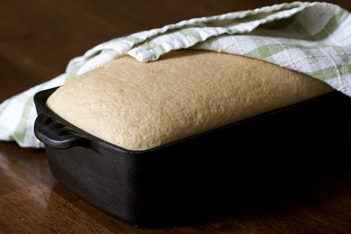Whole-grain Bread photo