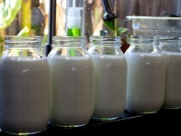 8092826886_afcacfe880_Milk-And-Yogurt