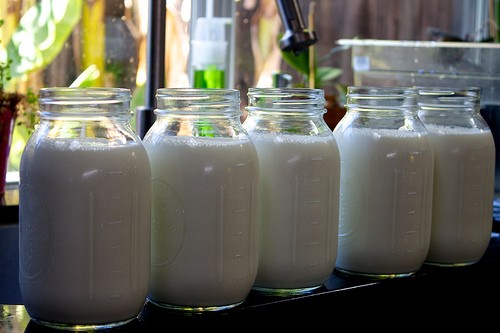 Milk And Yogurt photo