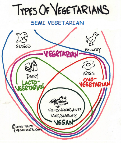 different types of vegetarians