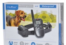 Review Petrainer 330 Yards Remote Dog Training Collar remote dog training collar