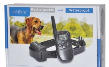 Review Petrainer 330 Yards Remote Dog Training Collar remote dog training collar