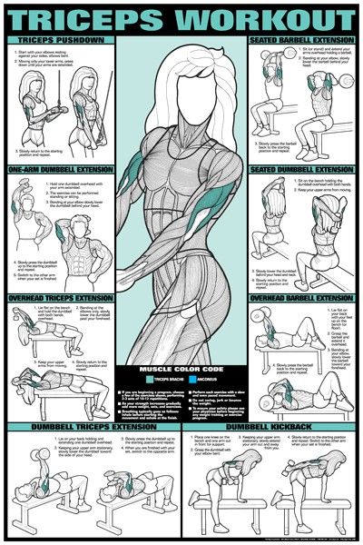 triceps exercises for women