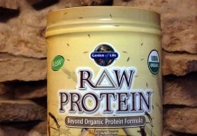 Review Garden Of Life RAW Protein (Organic 622g Powder) garden of life raw protein