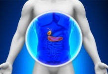 Overview Of Diet After Gallbladder Surgery overview of diet after gallbladder surgery