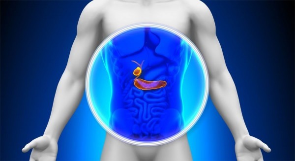 diet after gallbladder surgery