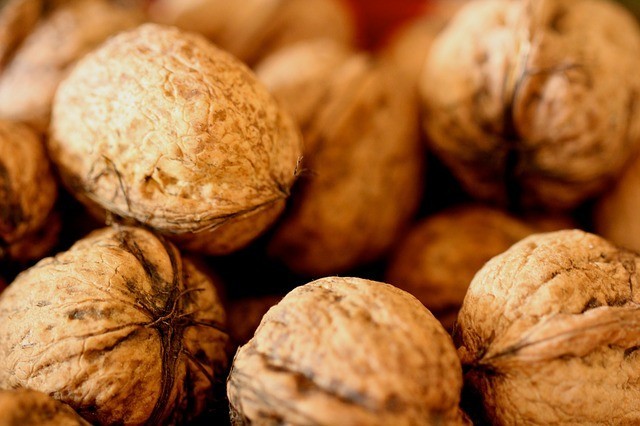 Walnuts photo