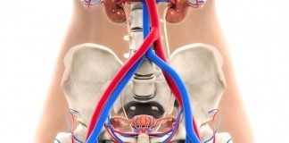 Bladder Cancer In Women Is Said To Be Worst bladder cancer in women