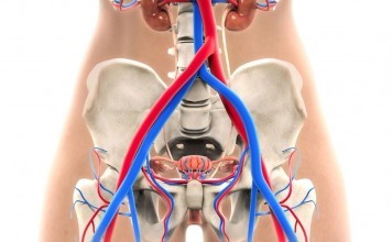 Bladder Cancer In Women Is Said To Be Worst bladder cancer in women