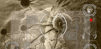 Things You Should Know About The Cancer Of The Blood cancer of the blood