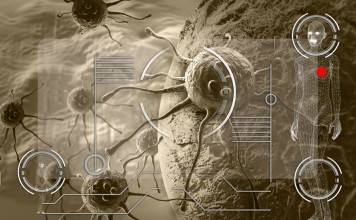 Things You Should Know About The Cancer Of The Blood cancer of the blood