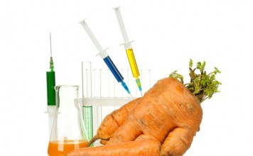 Why is GMO Considered the Enemy of the Century? gmo