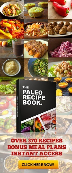 paleo recipe book review