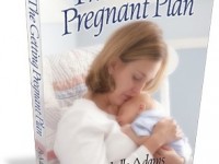 the getting pregnant plan