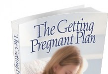 The Getting Pregnant Plan (How To Get Pregnant Fast?) the getting pregnant plan