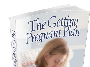 The Getting Pregnant Plan (How To Get Pregnant Fast?) the getting pregnant plan