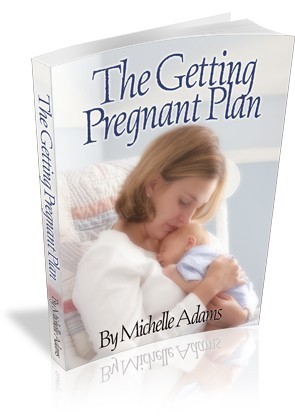the getting pregnant plan - how to get pregnant fast