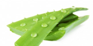 Top 5 Natural Herbs For Anti-aging And Glowing Skin NATURAL HERBS FOR ANTI-AGING AND GLOWING SKIN