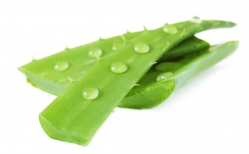 Top 5 Natural Herbs For Anti-aging And Glowing Skin NATURAL HERBS FOR ANTI-AGING AND GLOWING SKIN